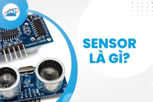 Sensor là gì
